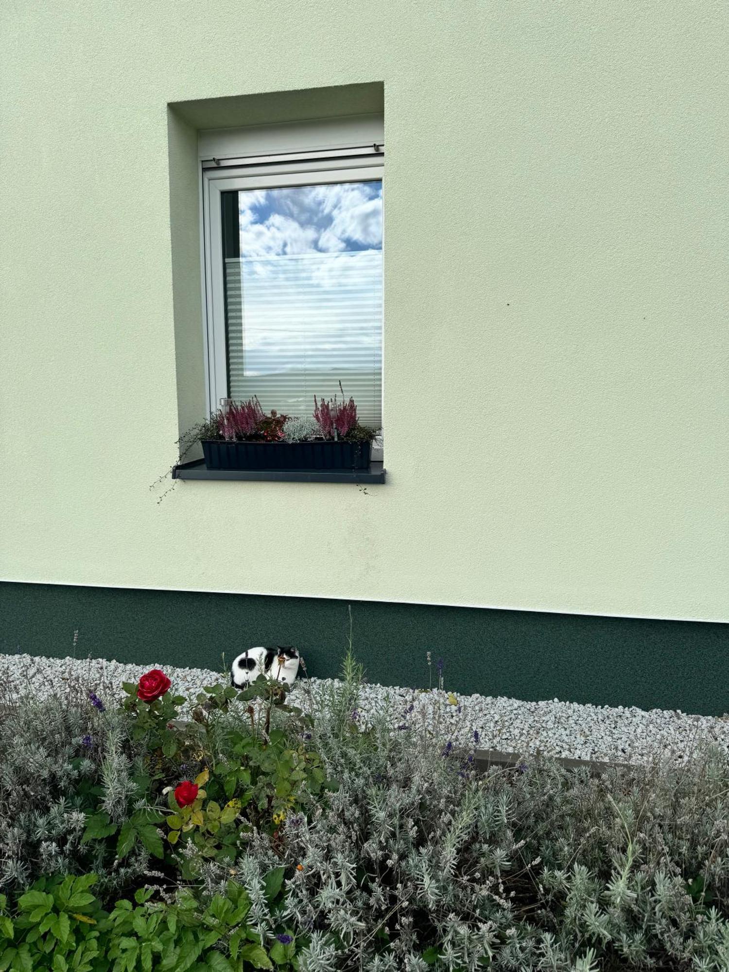 Viridi Daire Radomierz Dış mekan fotoğraf