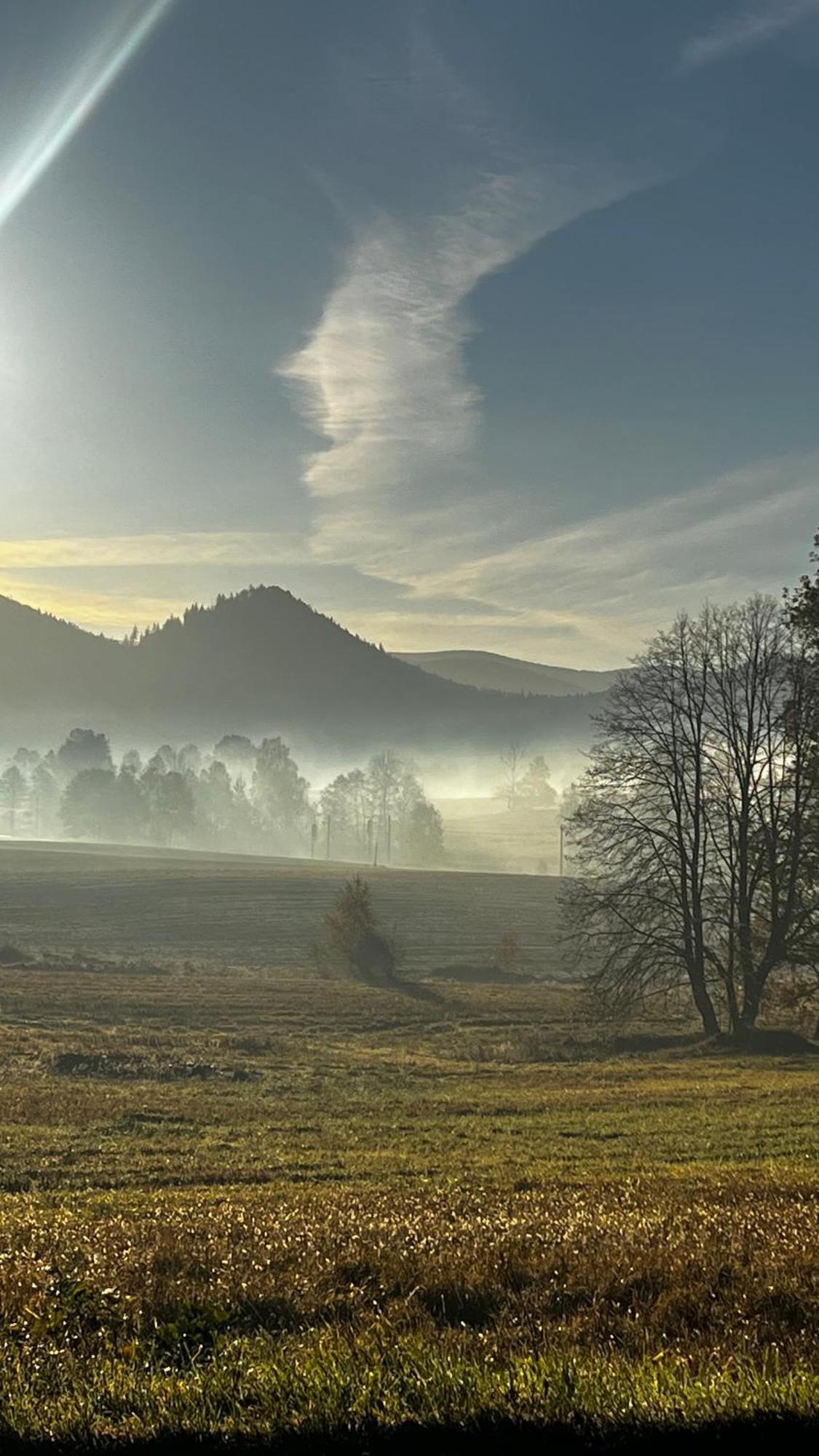 Viridi Daire Radomierz Dış mekan fotoğraf
